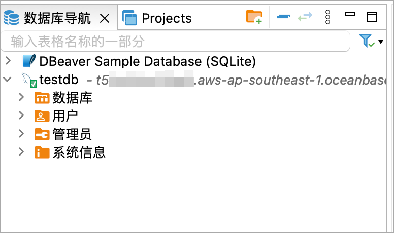 public-ip-zh