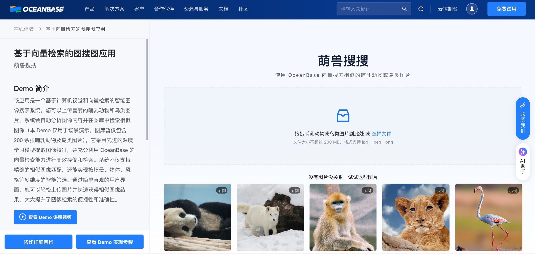 image-search-demo