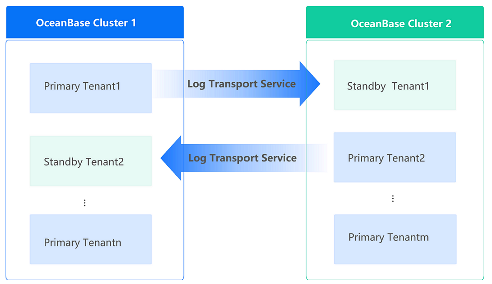 A cluster contains both primary and standby tenants