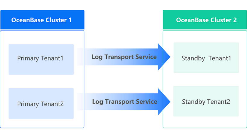 A cluster contains only primary or standby tenants