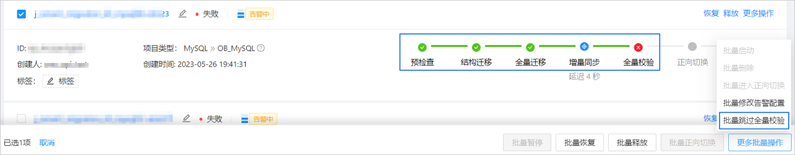 batch-skip-verification-zh